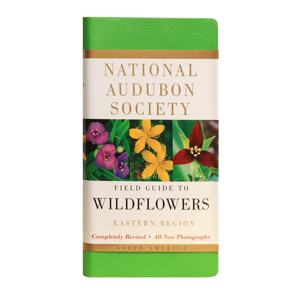 National Audubon Society Field Guide to Wildflowers Eastern Region