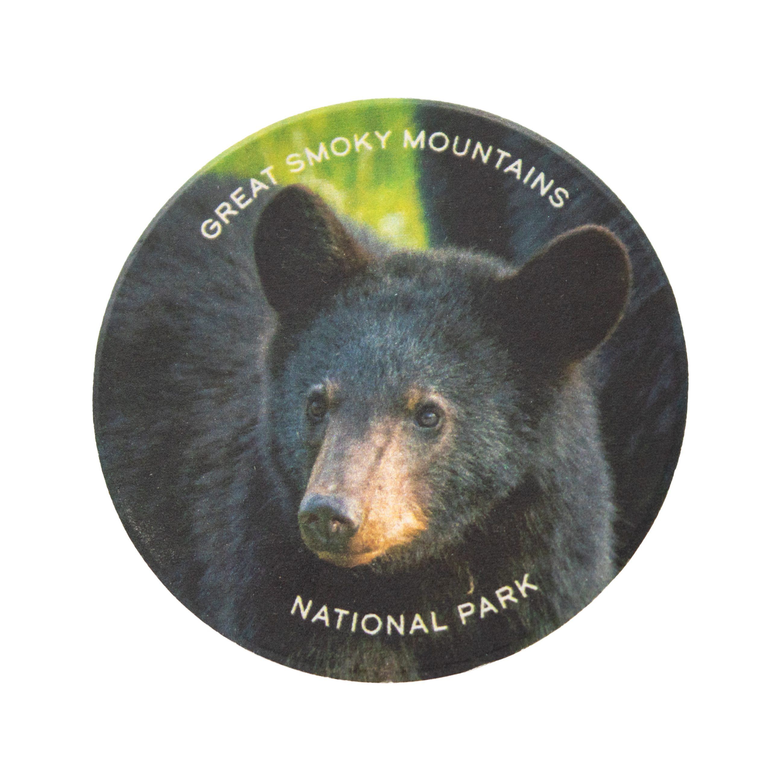 Great Smoky Mountains National Park Black Bear Car Coaster