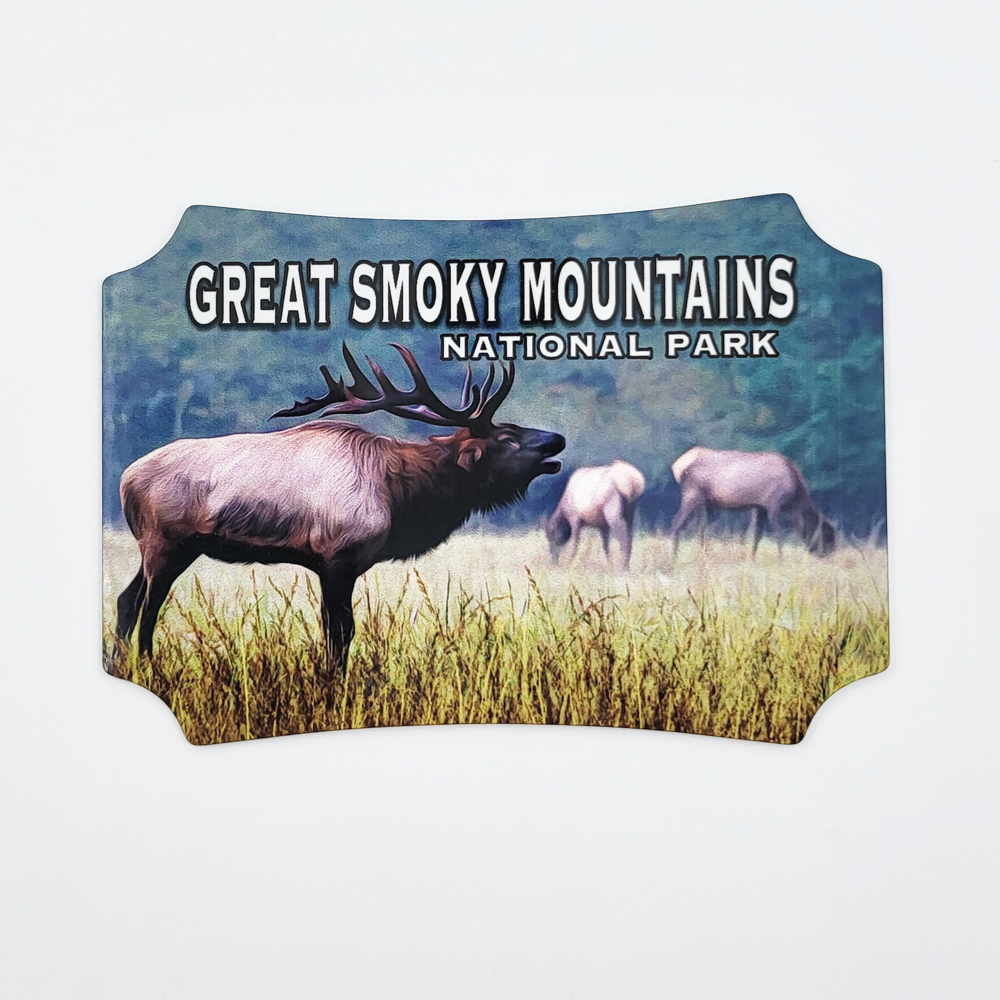 Great Smoky Mountains National Park Elk Magnet
