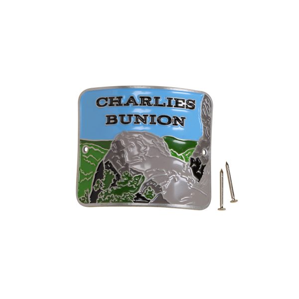 Charlies Bunion Hiking Medallion