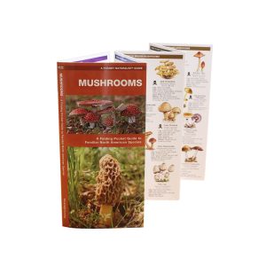 A Pocket Naturalist Guide: Mushrooms