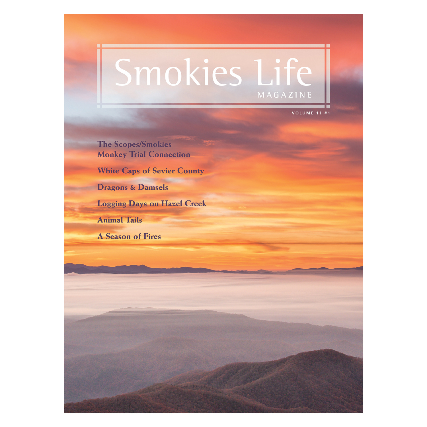 Smokies Life Journal Bundle #2: Includes 5 Smokies Life Journals - Image 2