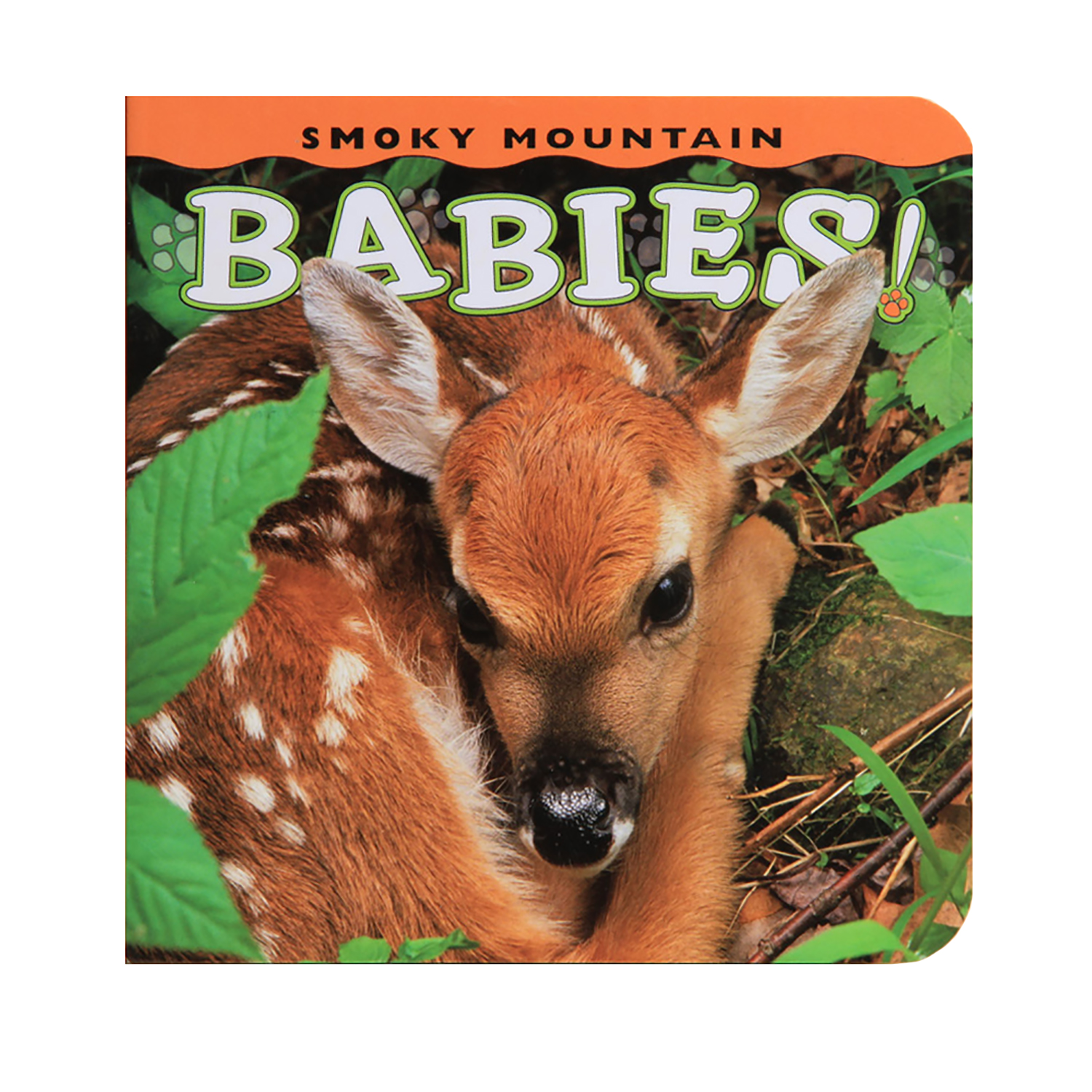 Smoky Mountain Babies! Board Book