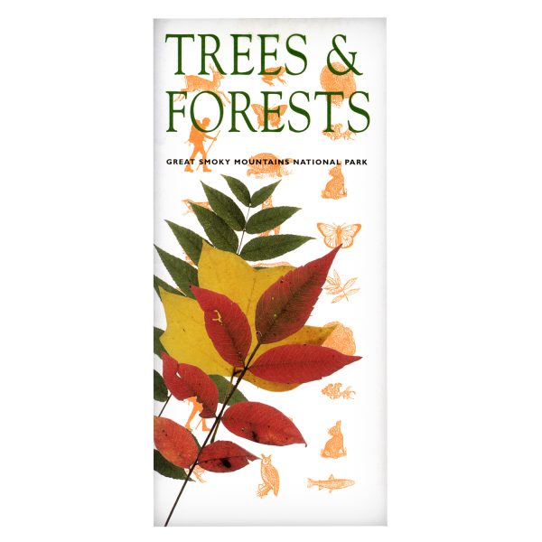 Super Info: Trees & Forests Great Smoky Mountains National Park - Image 2