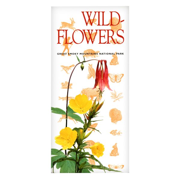 Super Info: Wildflowers Great Smoky Mountains National Park - Image 2