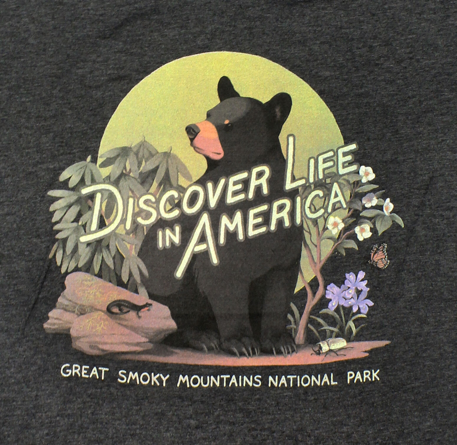 Great Smoky Mountains Discover Life in America Bear T-Shirt - Image 3