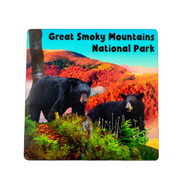 Great Smoky Mountains National Park Black Bears Wood Magnet