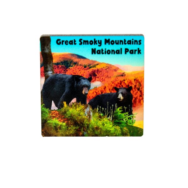 Great Smoky Mountains National Park Black Bears Wood Lapel Pin